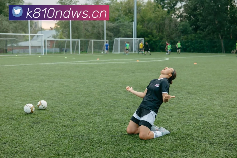 星空官网网页版平台生态图